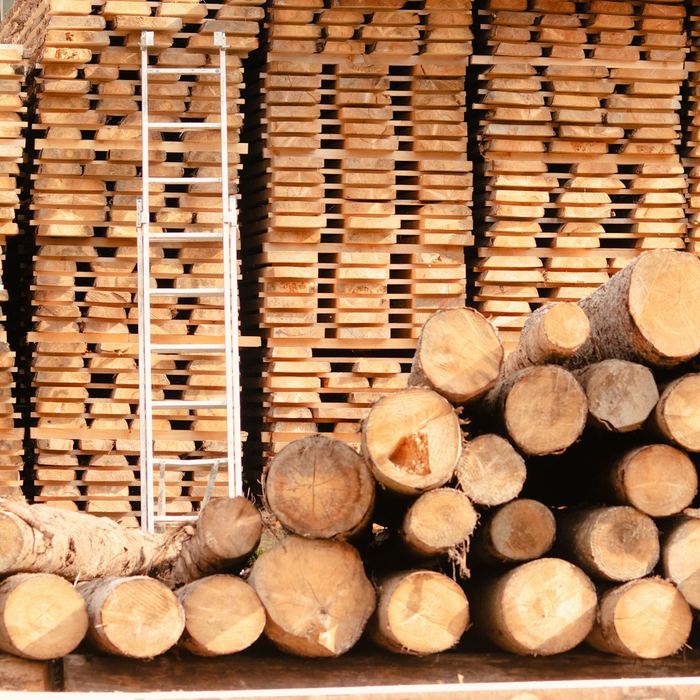 Tirante de pino 2×4 · 3 m